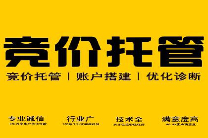 信息流广告投放公司：成功案例解析